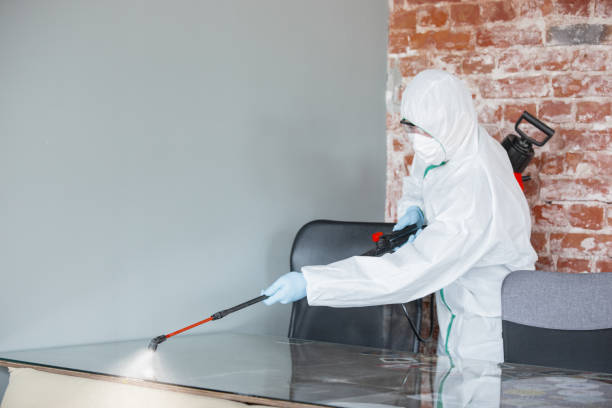 Mold Remediation for Rental Properties in Myersville, MD